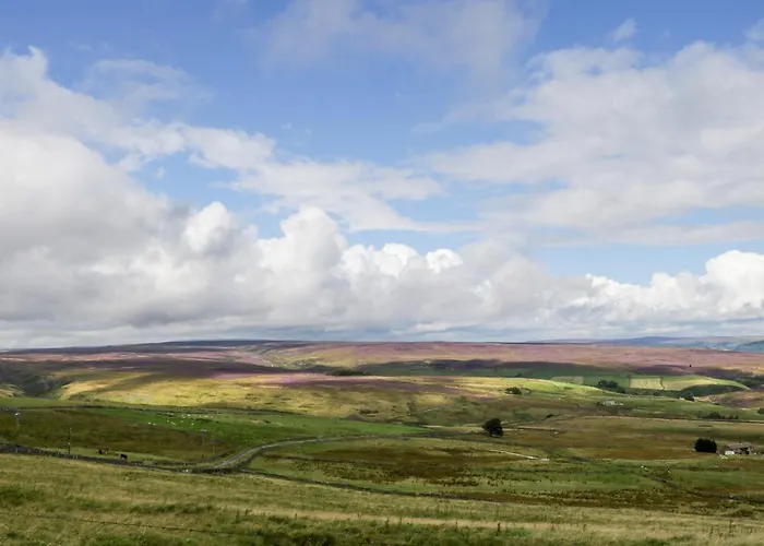 Appartement Park Road